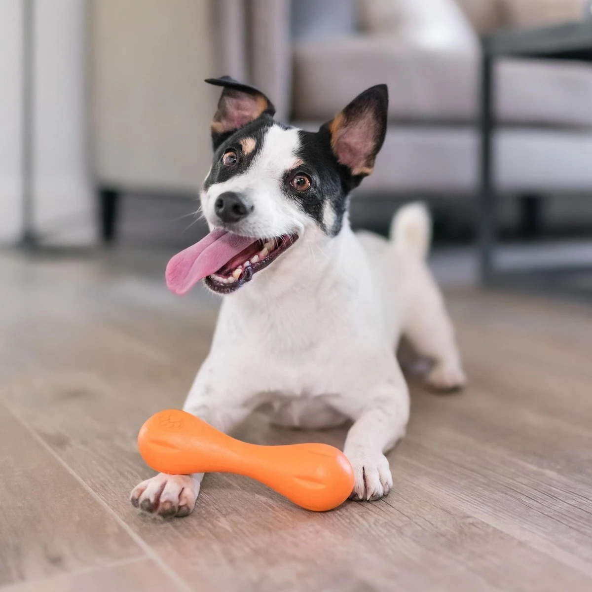 West Paw Zogoflex Hurley - Super Sterk Kauwbot Voor Honden - Kleur: Blauw, Maat: Large - Afbeelding 6