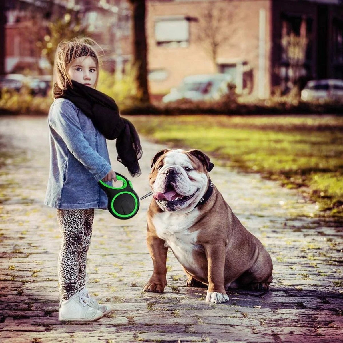 IGOODS - Hondenriem - Katten Riem - Uitlaatriem Voor Honden En Katten - Honden Riem- Rollijn - 5 Meter Lang - Afbeelding 6