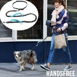 Merkloos Allernieuwste® Elastische Hondenriem 2-in-1 HANDSFREE Voor Hardlopen Shoppen En Wandelen - Honden Riem 160/260 Cm - Blauw Zwart