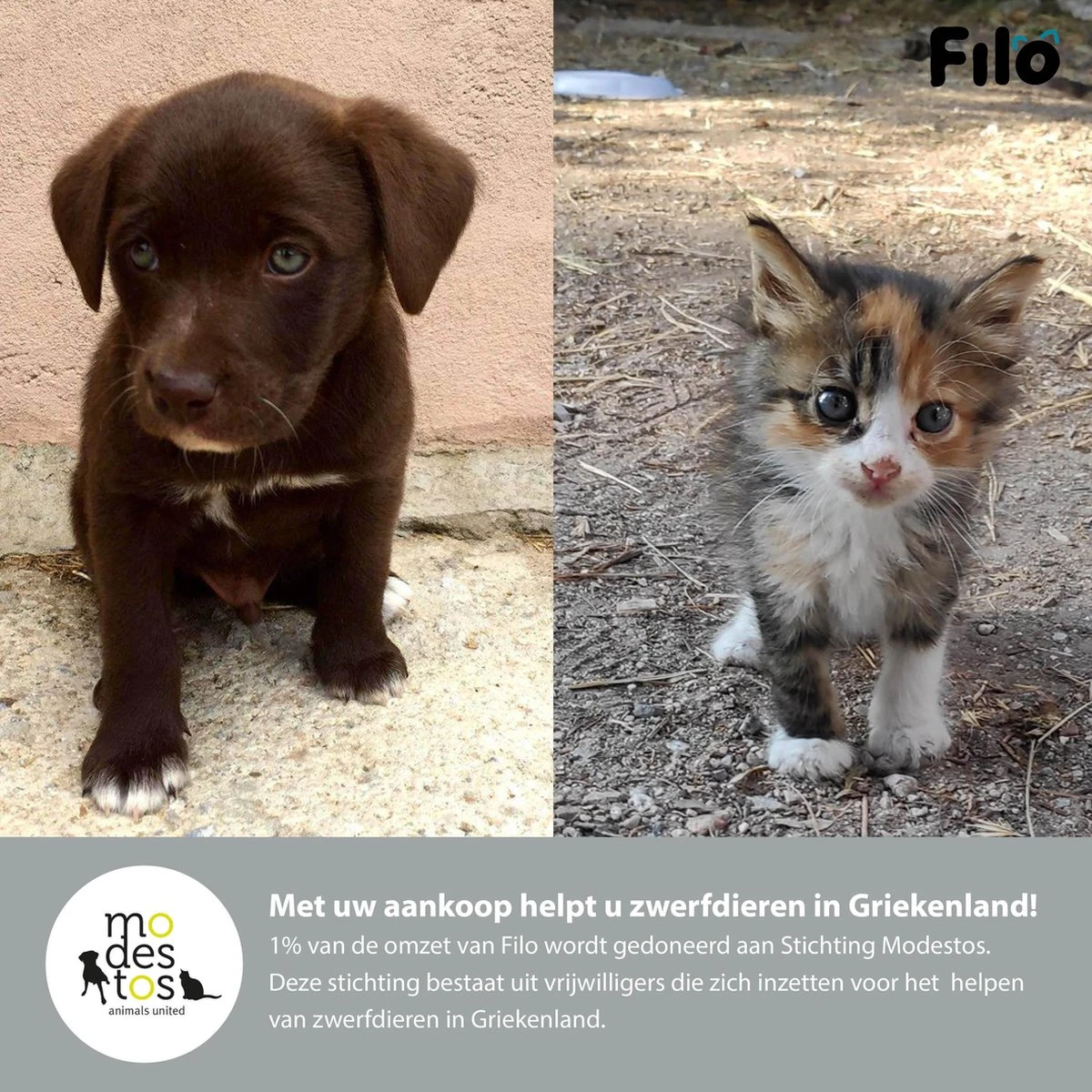 Filo Elastische Hondenriem Groot - Hardlopen En Wandelen - Hardloopriem Hond Handsfree Met Heuptasje - Looplijn Met Heupriem - Canicross Gordel Honden - Riemen - Heupgordel - Leiband - Afbeelding 9