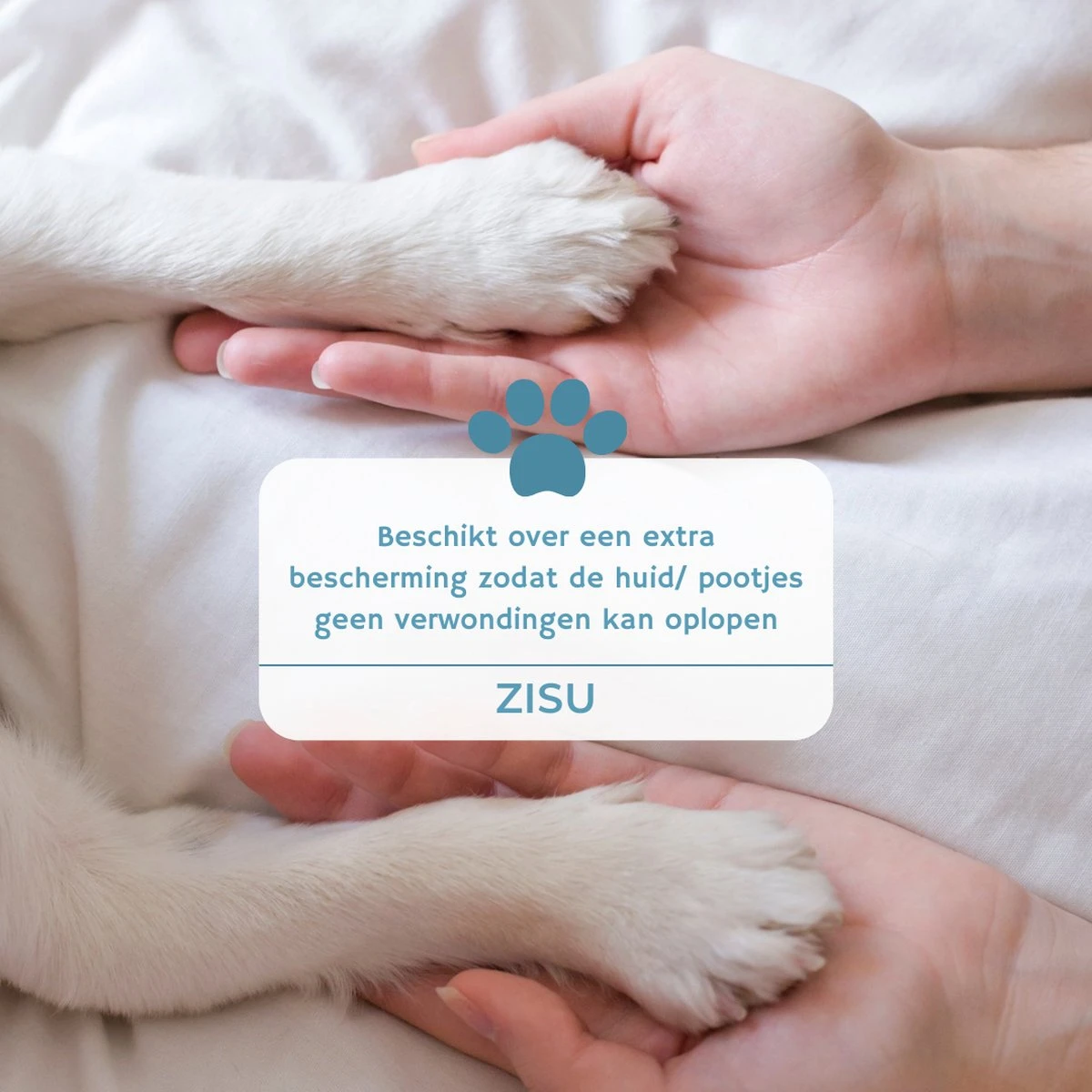 Hondentondeuse - Hondentrimmer - Dieren Tondeuse - Draadloos - 4 Opzetkammen - INCLUSIEF SNACKJE - Zwart - Afbeelding 7