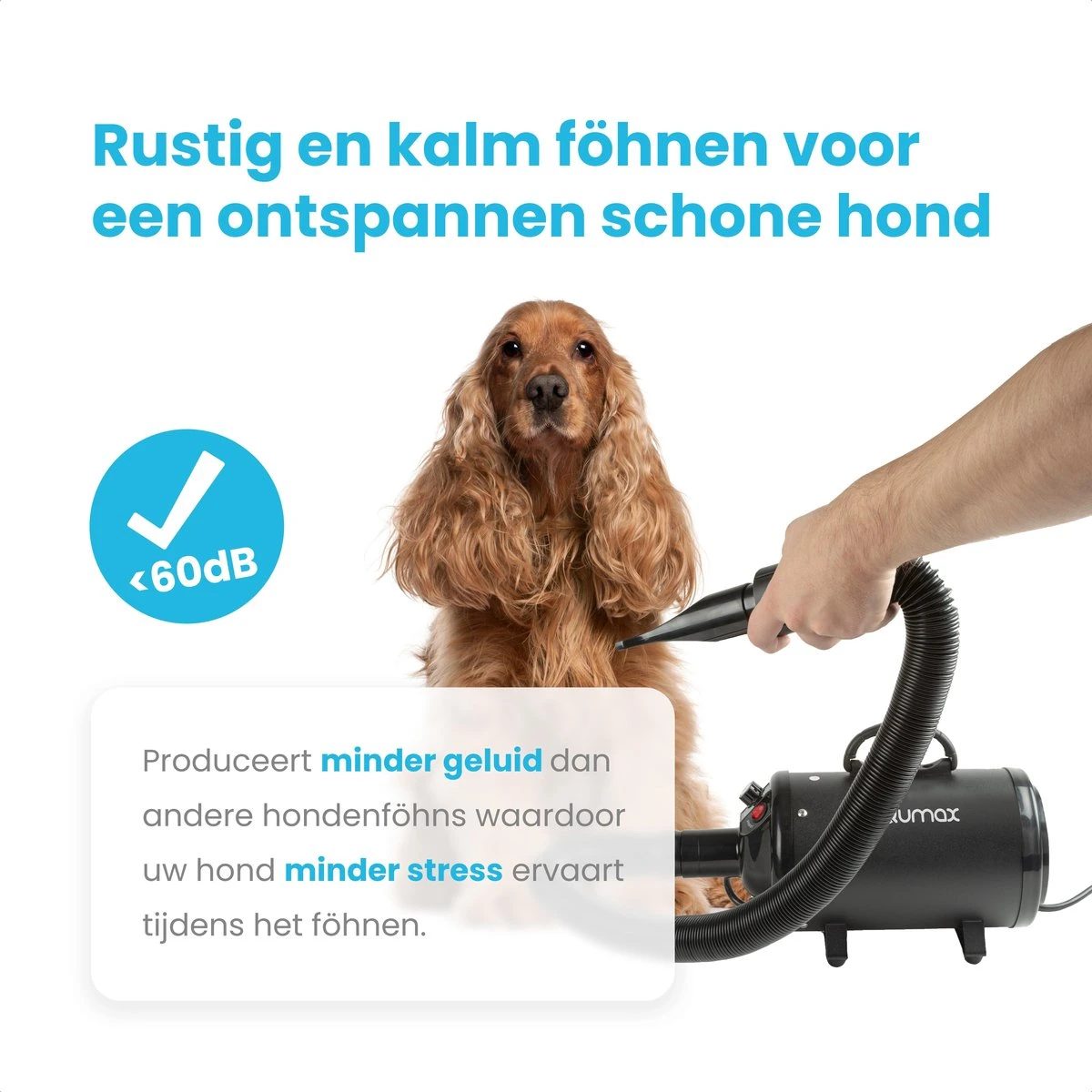 Qumax Professionele Hondenföhn Met 4 Opzetstukken – Waterblazer Voor Honden – Stil Design – Compact En Modern - Zwart - Afbeelding 4