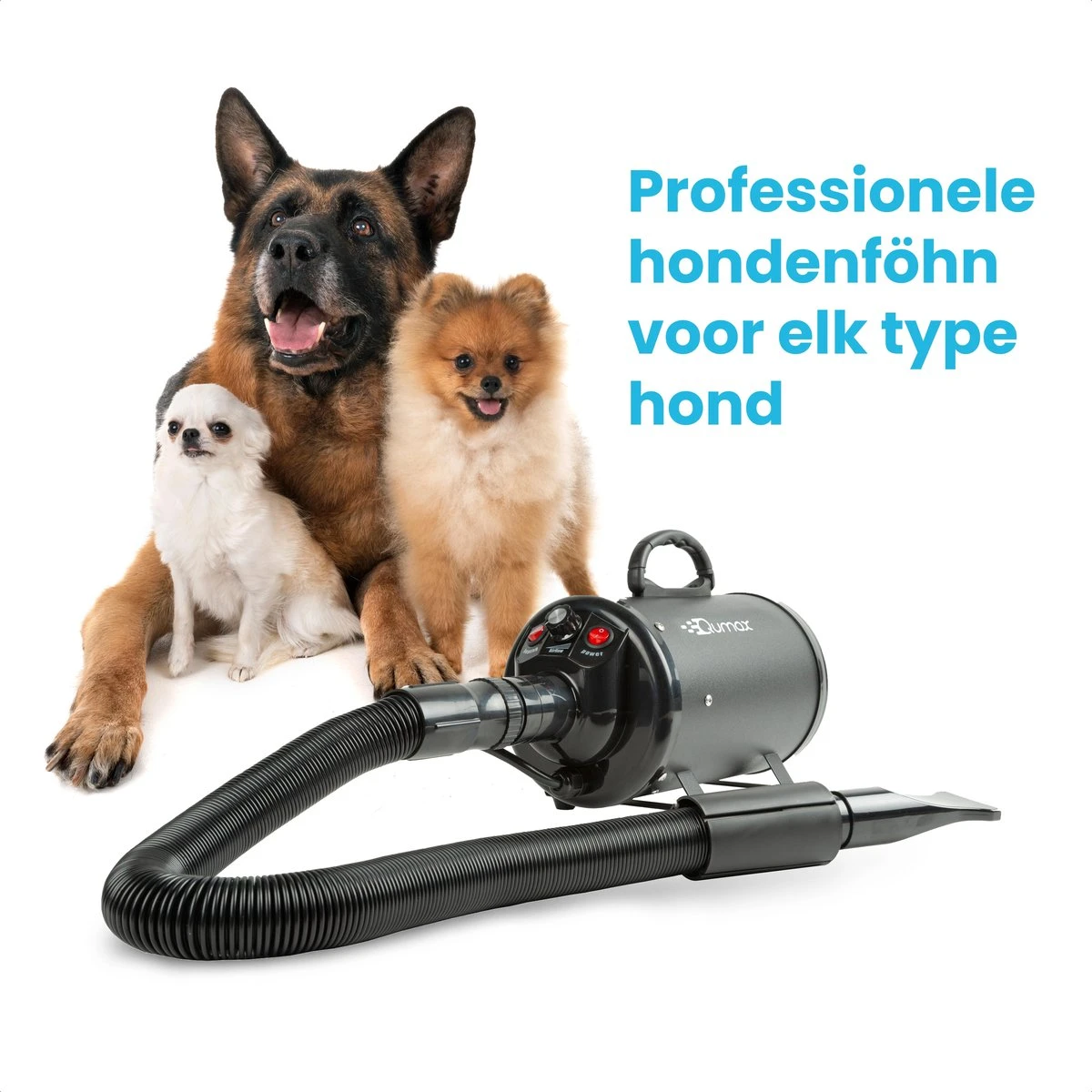 Qumax Professionele Hondenföhn Met 4 Opzetstukken – Waterblazer Voor Honden – Stil Design – Compact En Modern - Zwart - Afbeelding 6