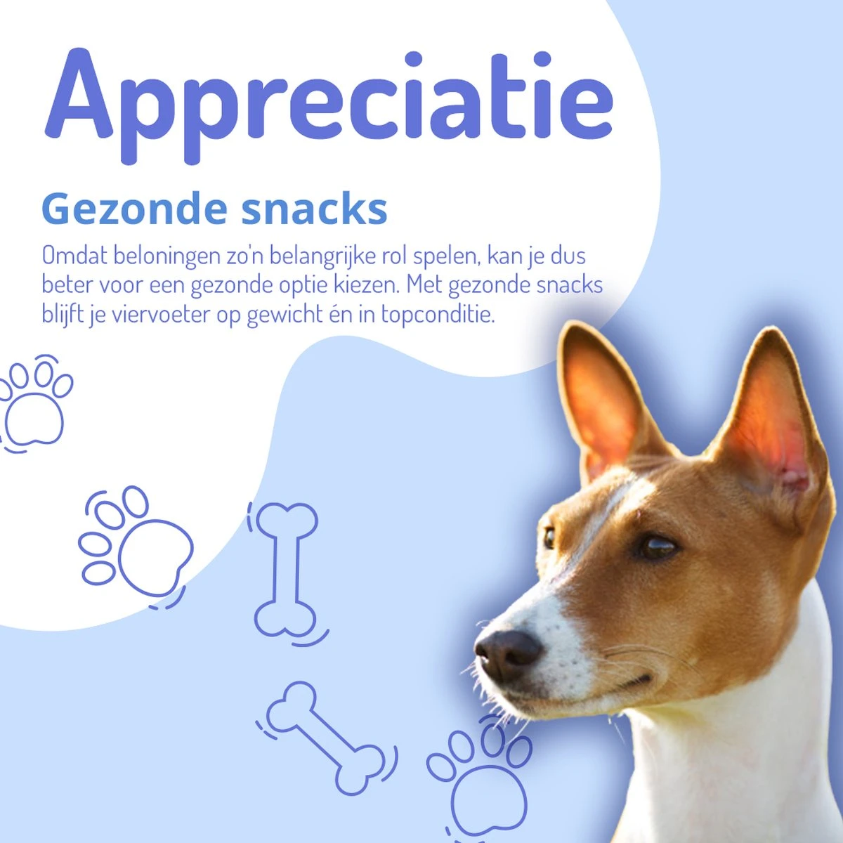 Animalgoods Gedroogde Snacks - Hondensnack - Varken - Varkensoorstukjes - 500 Gram - Hondensnacks - Honden - Snacks - Afbeelding 4