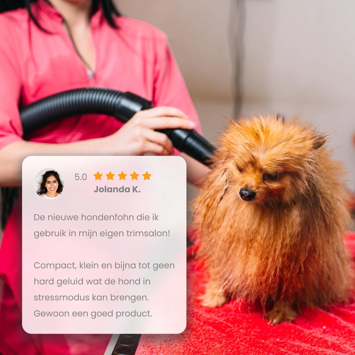 Qumax Professionele Hondenföhn Met 4 Opzetstukken – Waterblazer Voor Honden – Stil Design – Compact En Modern - Zwart - Afbeelding 7