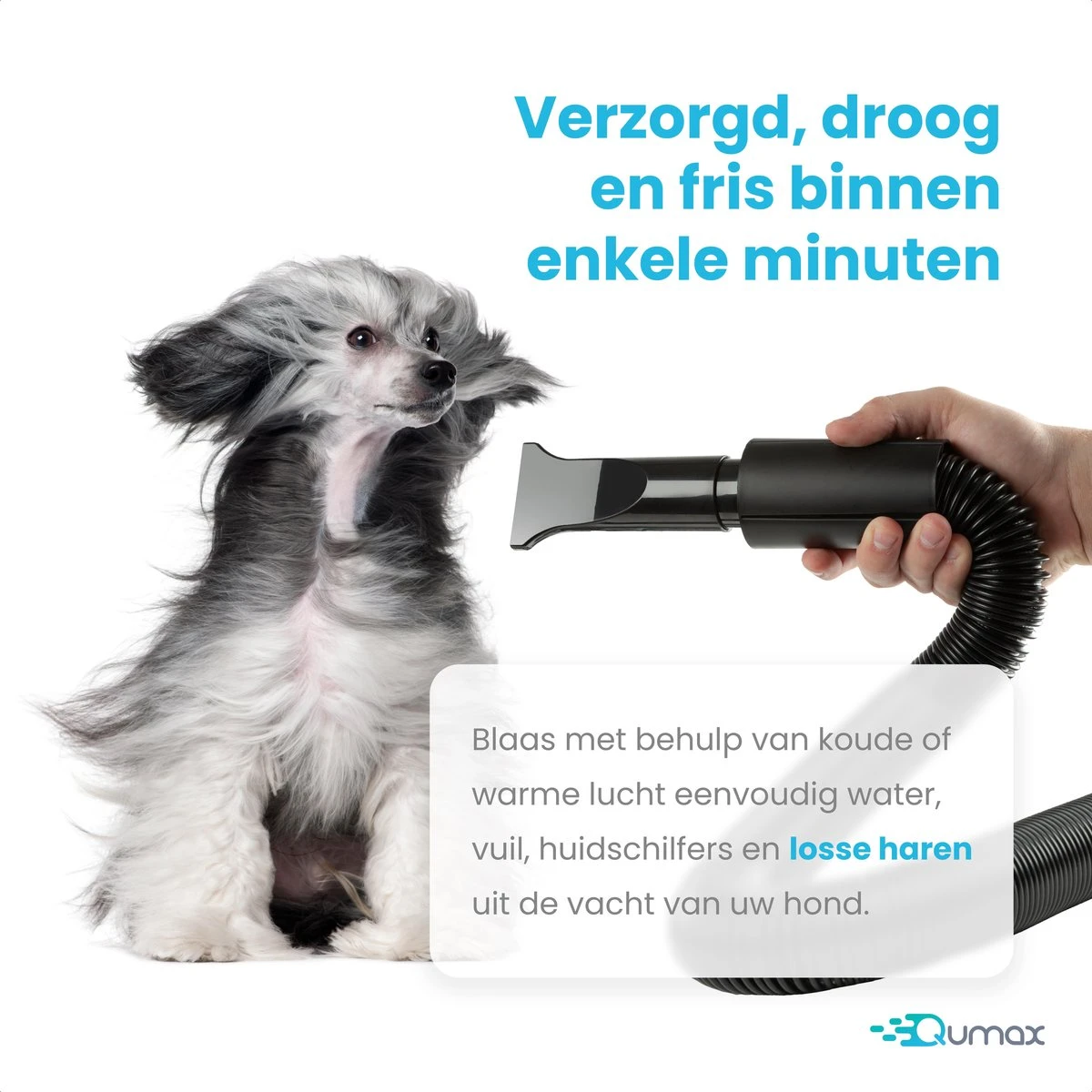 Qumax Professionele Hondenföhn Met 4 Opzetstukken – Waterblazer Voor Honden – Stil Design – Compact En Modern - Zwart - Afbeelding 8