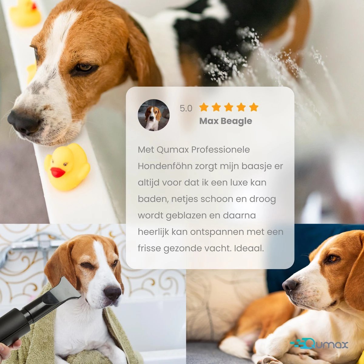 Qumax Professionele Hondenföhn Met 4 Opzetstukken – Waterblazer Voor Honden – Stil Design – Compact En Modern - Zwart - Afbeelding 9