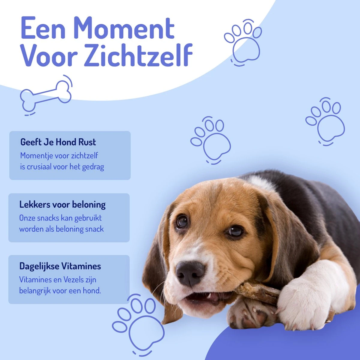 Animalgoods Gedroogde Snacks - Hondensnack - Varken - Varkensoorstukjes - 500 Gram - Hondensnacks - Honden - Snacks - Afbeelding 5