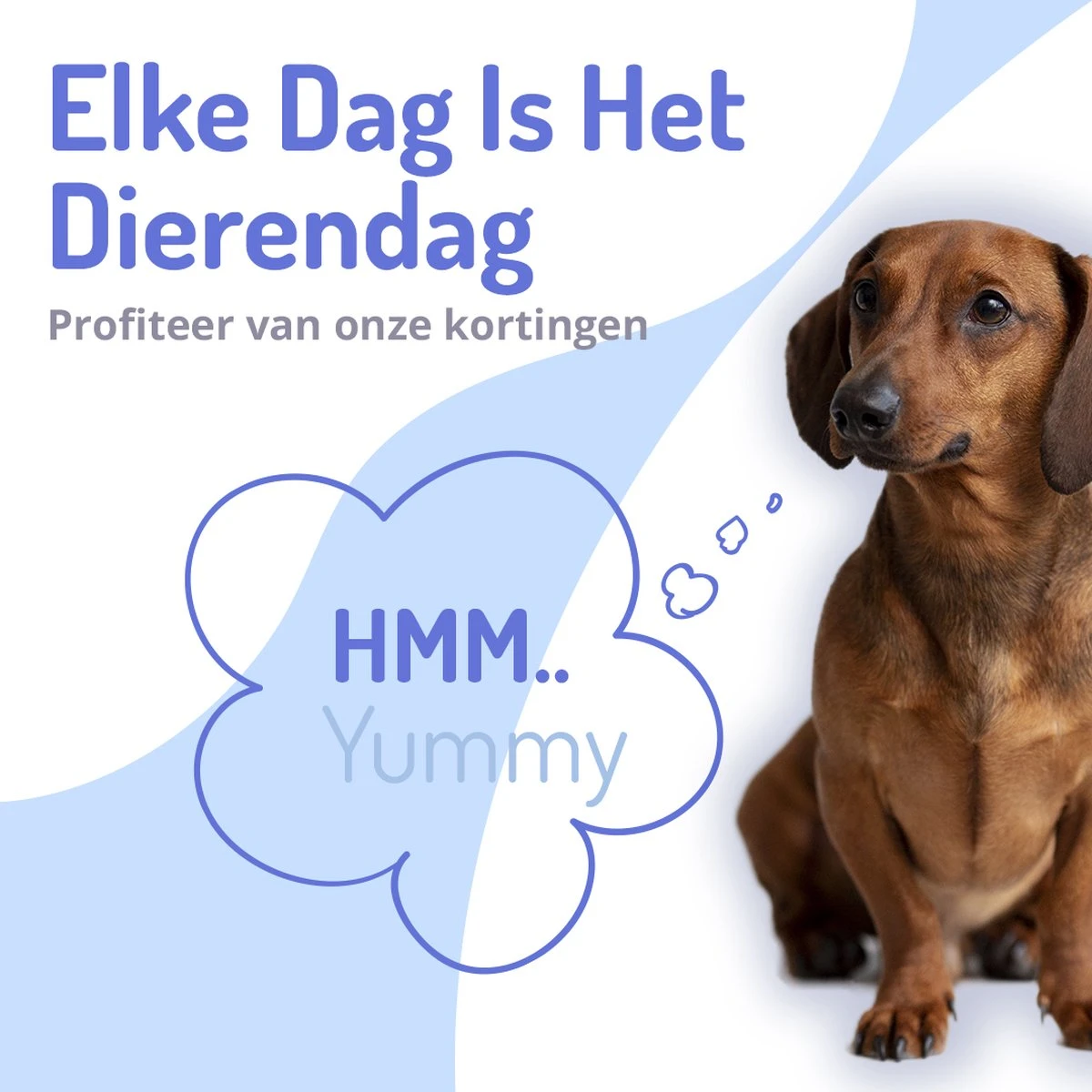 Animalgoods Gedroogde Snacks - Hondensnack - Varken - Varkensoorstukjes - 500 Gram - Hondensnacks - Honden - Snacks - Afbeelding 6