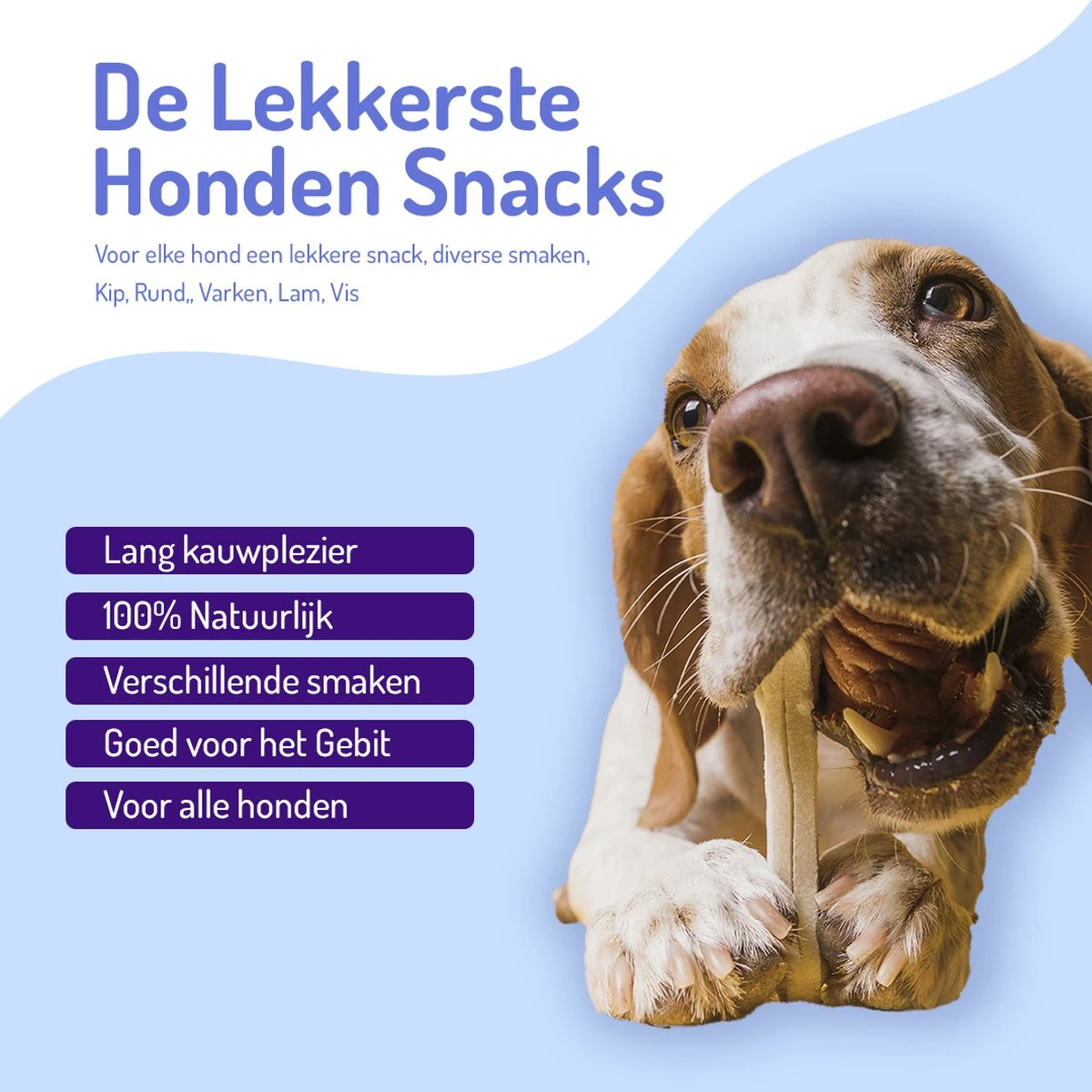 Animalgoods Gedroogde Snacks - Hondensnack - Varken - Varkensoorstukjes - 500 Gram - Hondensnacks - Honden - Snacks - Afbeelding 7