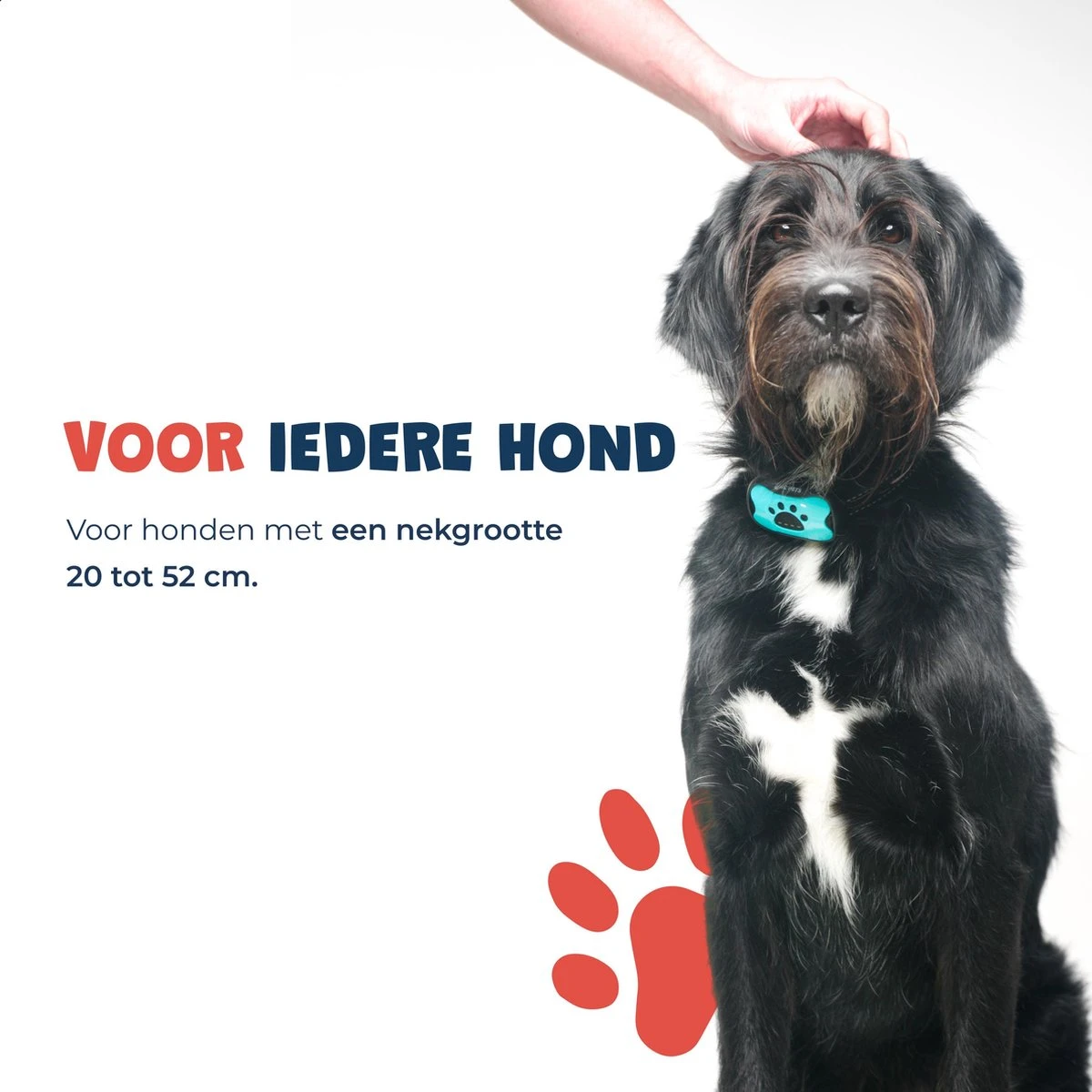 Anti Blafband - Blafband Voor Honden - Anti Blaf Apparaat - Blafband - Diervriendelijk & Zonder Schok - Afbeelding 6