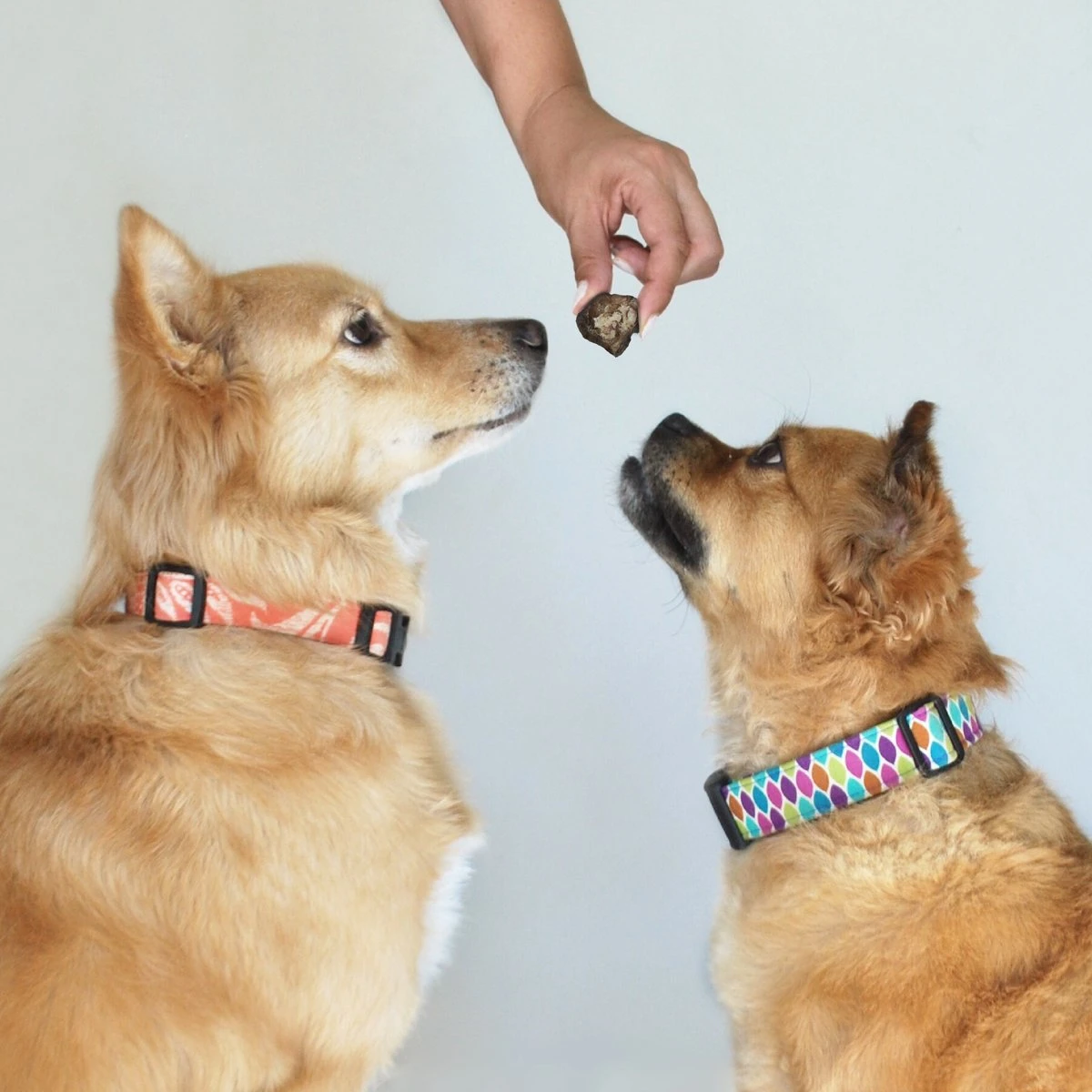 Topdiervoeding Runderlong Trainers Hondensnacks - Gedroogd En Vetarm - 1 KG - Afbeelding 4