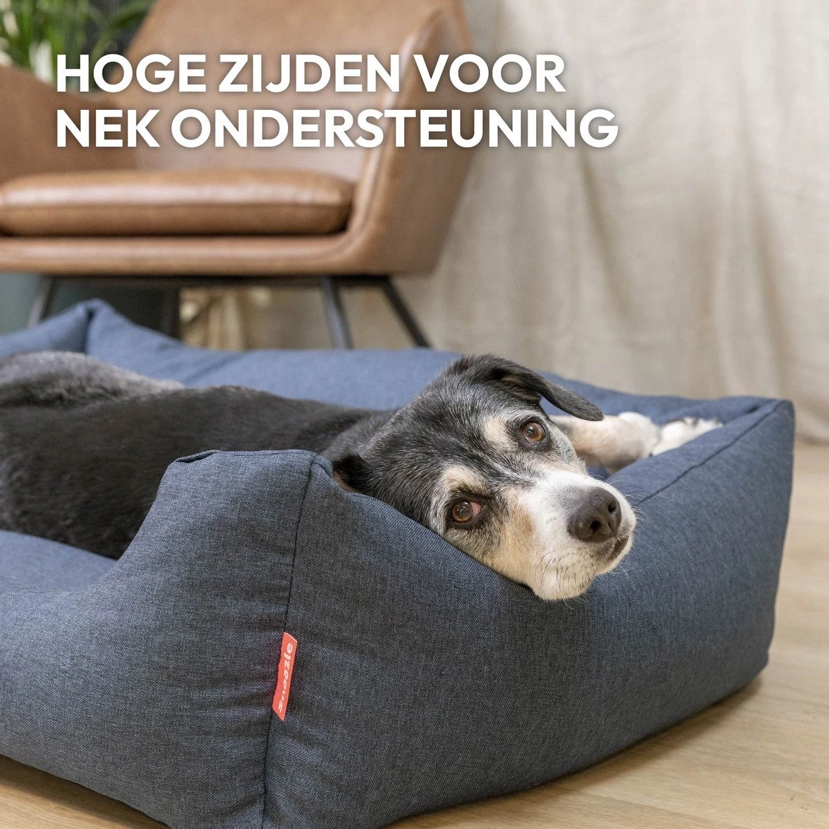 Snoozle Hondenmand - Zacht En Luxe Hondenkussen - Hondenbed - Wasbaar - Hondenmanden - 80 X 60cm - Afbeelding 7