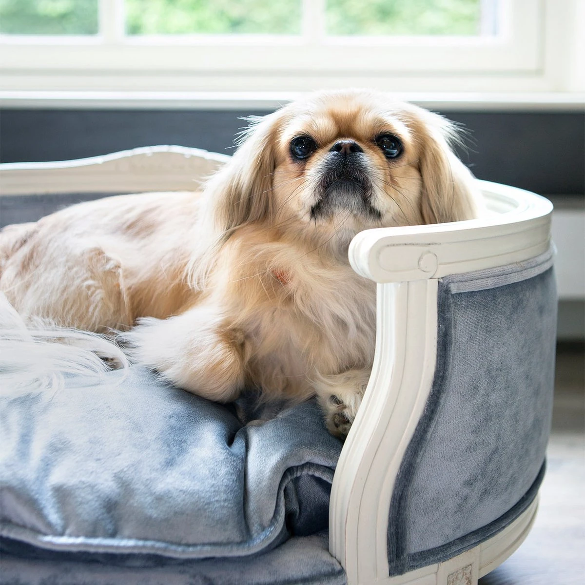 Lord Lou - George Roze Velvet S - Luxe Hondenmand - Luxe Kattenmand - 49x40x31 - Afbeelding 6