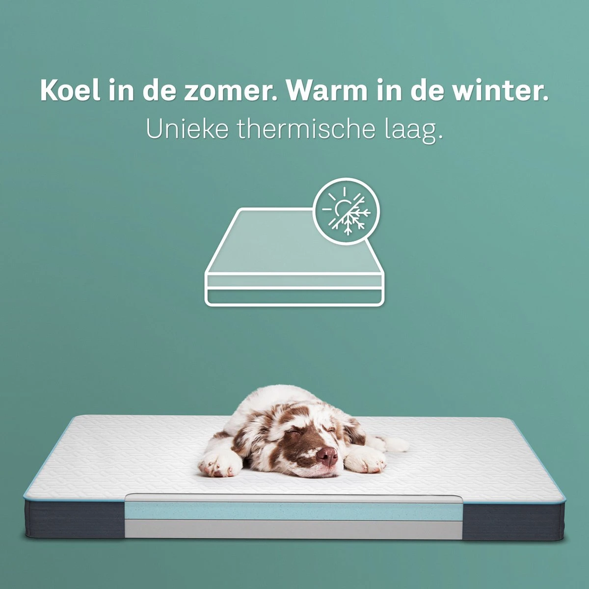 CozySense® - Orthopedisch Hondenkussen - Hondenkussen 90 X 55 Cm - Ook Geschikt Als Benchkussen & Hondenbed - Hondenkussen Bank - Traagschuim - Waterdicht - Wasbare Hoes - Maat L - Afbeelding 4