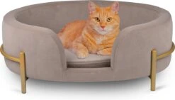 Maxxpro Pet Bed - Huisdieren Tot 80KG - Zacht Fluwelen Kussen - Verhoogd Katten- En Hondenbed - Grijs - 60,5 X 40,5 X 23,5 Cm