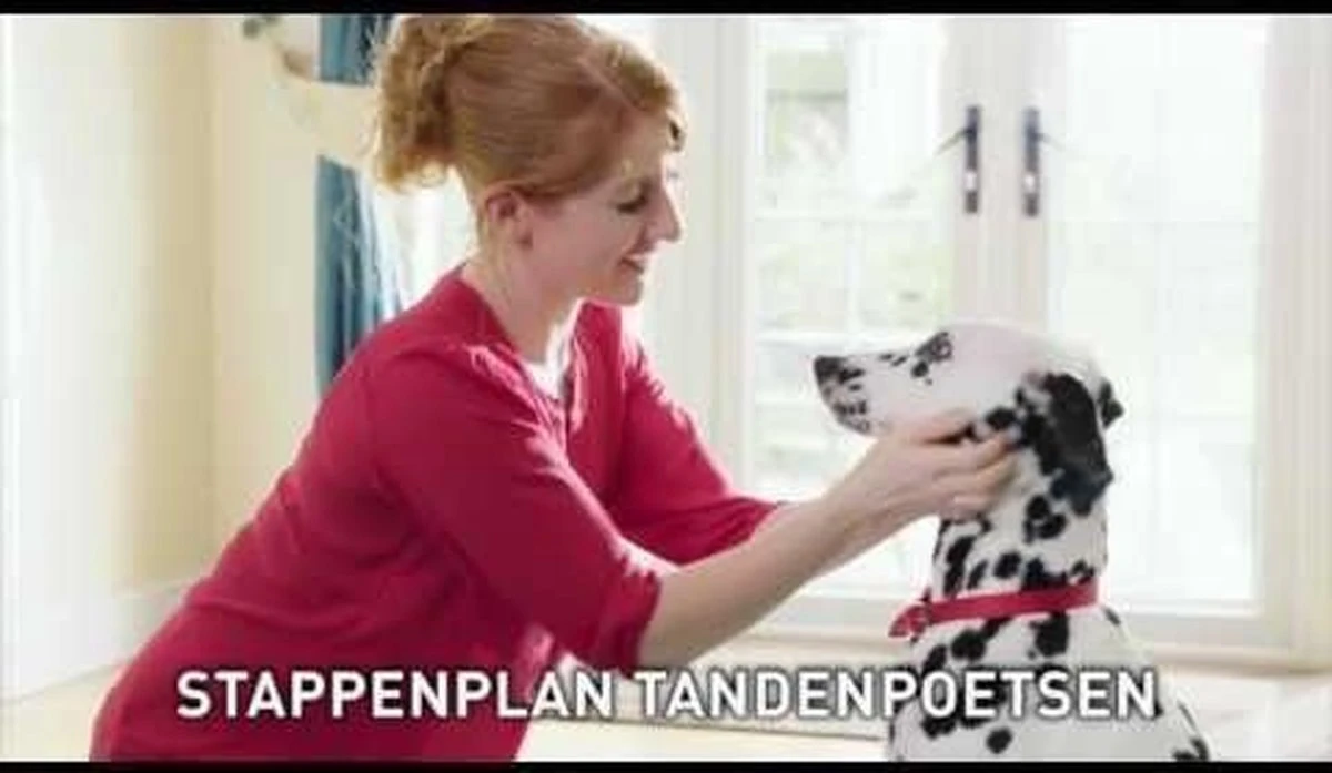 Beaphar Tandpasta - 100 Gr - Afbeelding 4