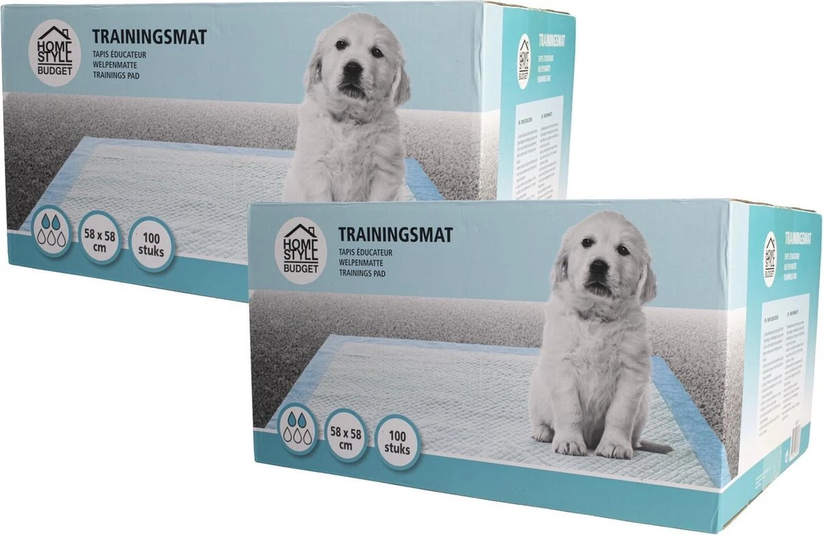 Homestyle Budget Trainingsmat - Zindelijkstraining - 2 X 100 Stuks 58x58 Cm - Afbeelding 2