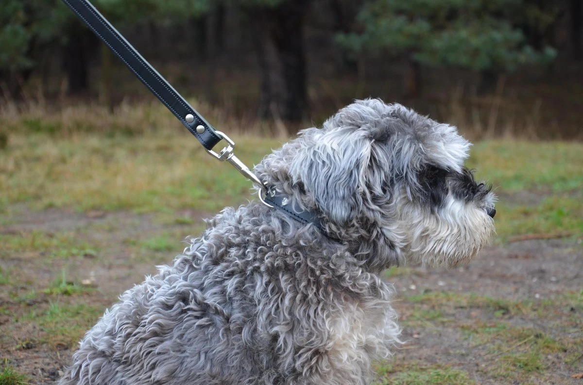 Hondenriem Leer - 2 Meter - Zwart - Hoge Kwaliteit Leer - Lederen Hondenriem - Ambachtelijk Gemaakt In Portugal - Afbeelding 5