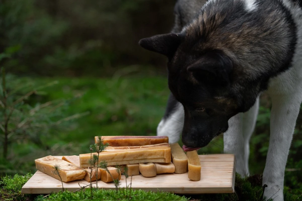 The Original Himalayan Yak Kauwbot Large Puur Fit – 5 Stuks - Afbeelding 4