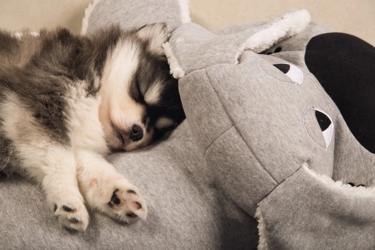 Beeztees Puppy Boomba XL - Hondenspeelgoed - Grijs - 70x40x21 Cm - Afbeelding 2