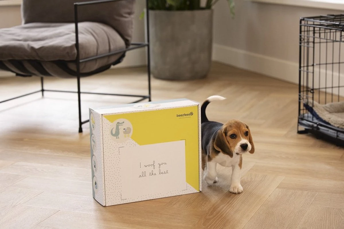 Merkloos Beeztees Puppy Cadeaupakket - Puppy Pakket - Leuke Box Met Puppy Speelgoed En Snacks - Afbeelding 3