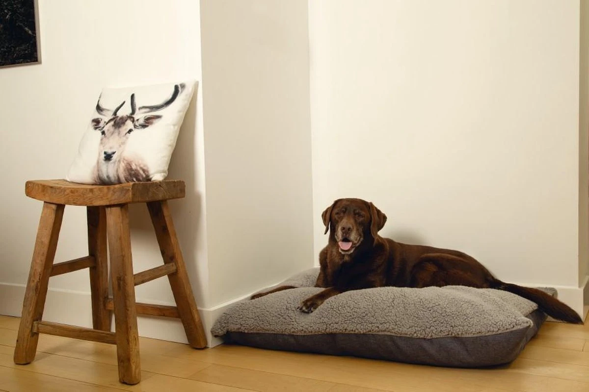 Beeztees Ruba - Orthopedisch Hondenkussen - Grijs - 100x70cm - Afbeelding 3