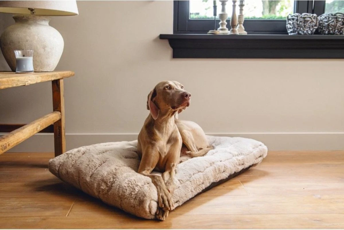 Designed By Lotte Hondenkussen Pluche Xanti Beige 70x 50 X 5 Cm - Afbeelding 3