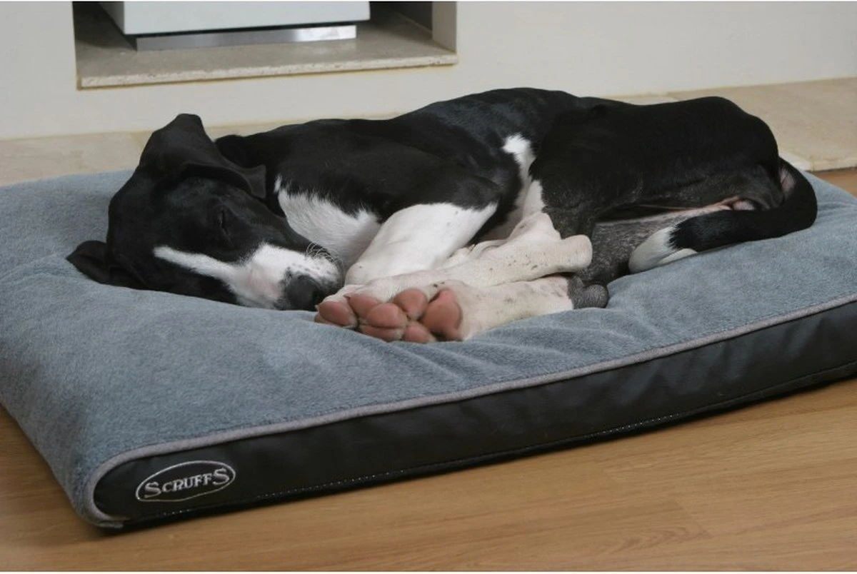 Scruffs Chateau - Hondenbed Orthopedisch Met Memory Foam Voor Extra Steun Voor Rug En Gewrichten - Grijs & Bruin Maat M/L - Kleur: Grijs, Maat: Medium - Afbeelding 19