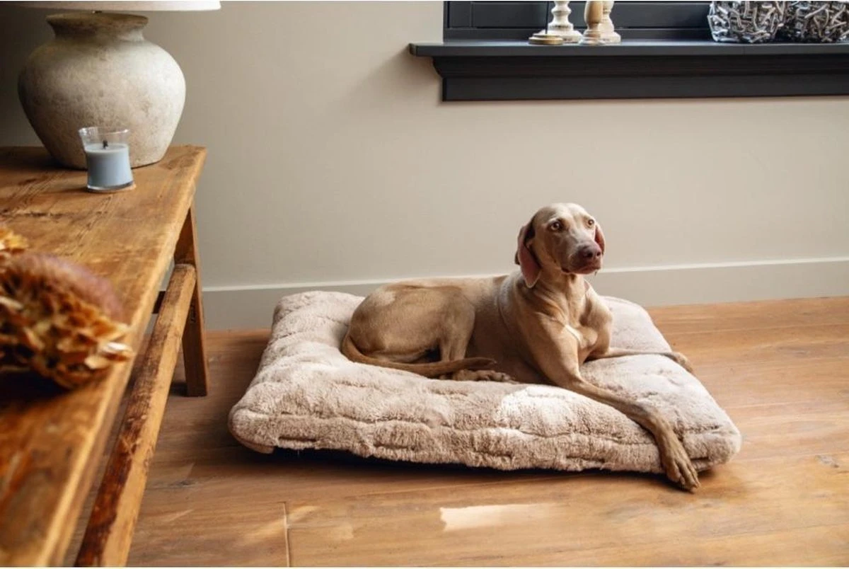 Designed By Lotte Hondenkussen Pluche Xanti Beige 70x 50 X 5 Cm - Afbeelding 2