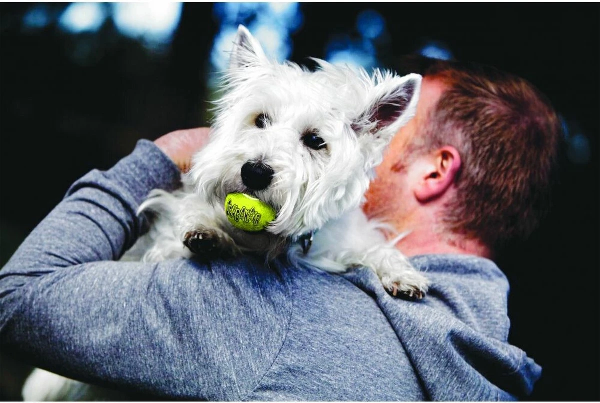 Kong Air Squacker Tennisbal - Hondenspeelgoed - Geel - M - Ø7,1 Cm - Afbeelding 2