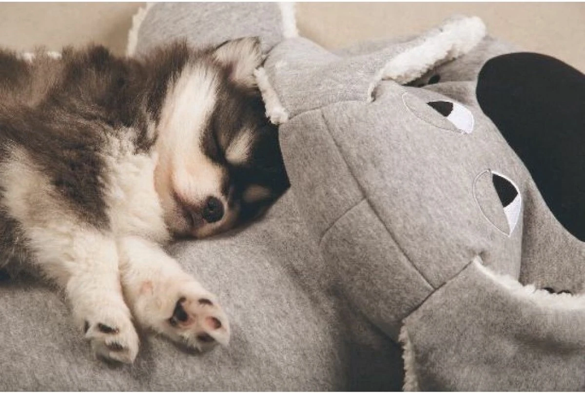 Beeztees Puppy Boomba XL - Hondenspeelgoed - Grijs - 70x40x21 Cm - Afbeelding 3