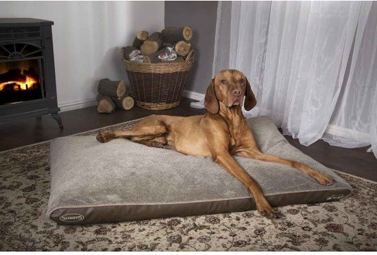 Scruffs Chateau - Hondenbed Orthopedisch Met Memory Foam Voor Extra Steun Voor Rug En Gewrichten - Grijs & Bruin Maat M/L - Kleur: Grijs, Maat: Medium - Afbeelding 6