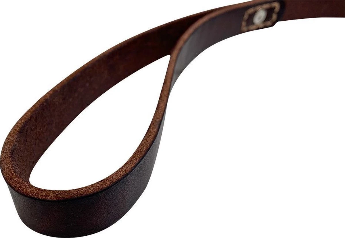 Hondenriem - 180 Cm – Bruine Riem - Leren Hondenriem Met Stiksels – 100% Volnerfleer - Hond - Afbeelding 2