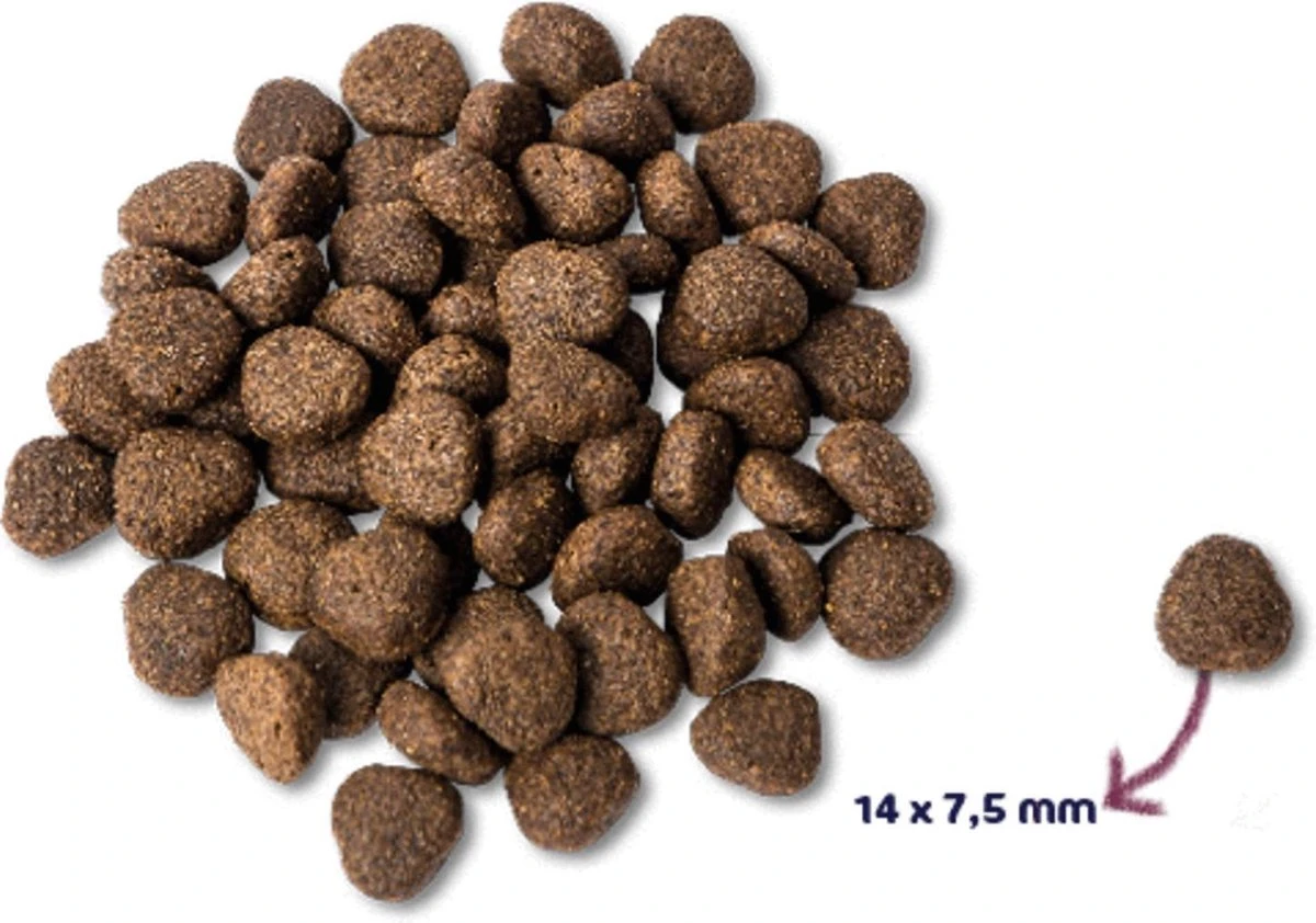 Renske Adult Zalm Graanvrij - Hondenvoer - 2 Kg - Afbeelding 2