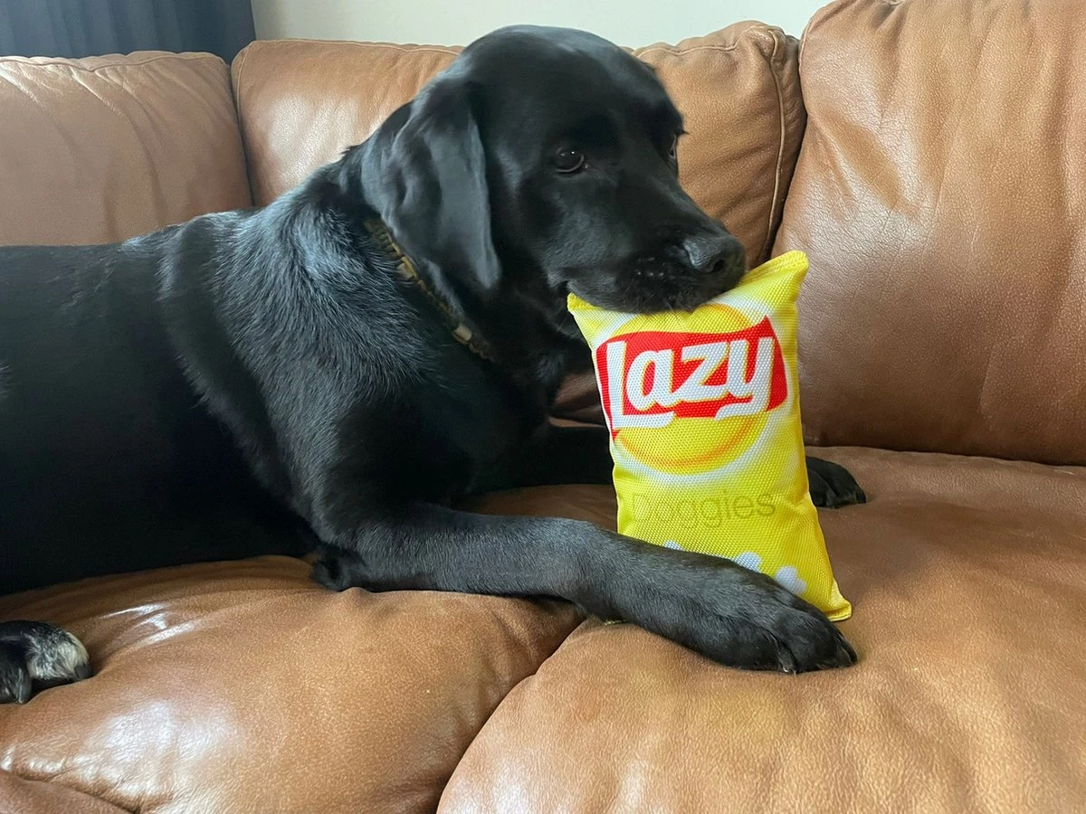 Merkloos Lazy Doggies Krakend Hondenspeelgoed - Afbeelding 2