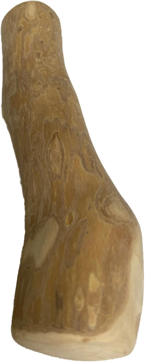 BoDutch - Koffieboom Kauwwortel - Maat L - Hondensnack - Afbeelding 3