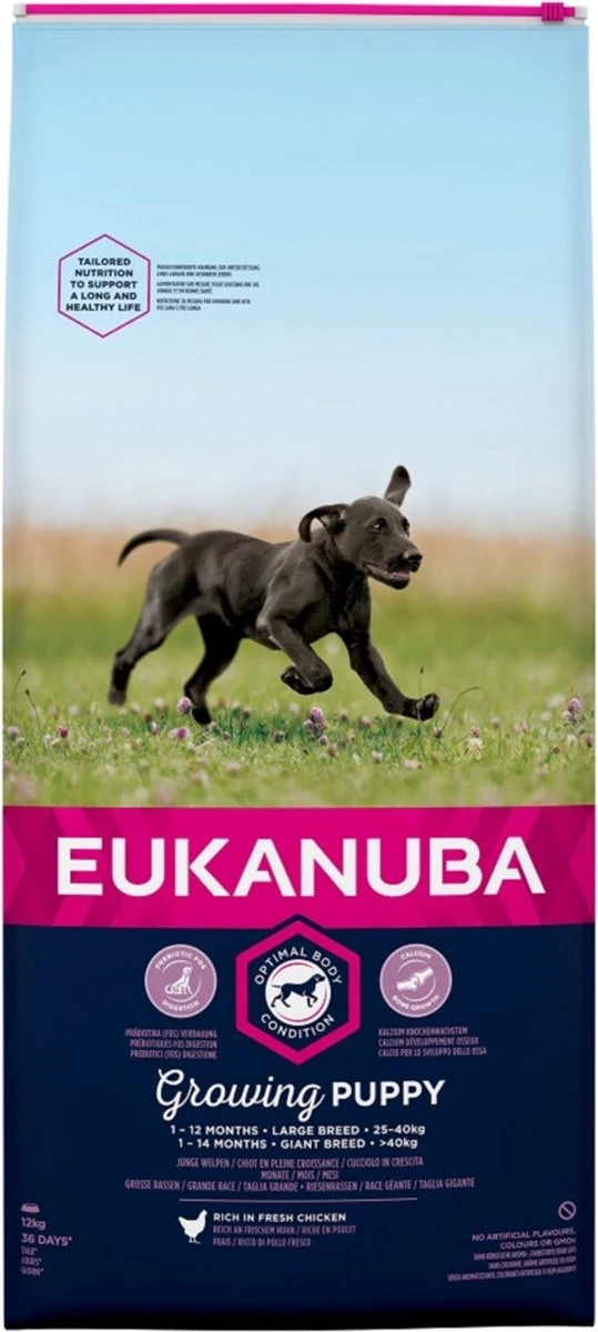 Eukanuba Dog Puppy & Junior - Grote Rassen - Kip - Droogvoer - 12 Kg - Afbeelding 4