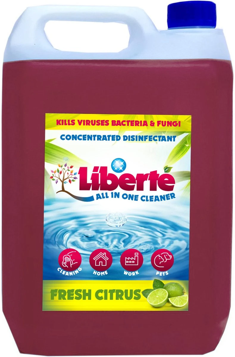 Geurverwijderaar - Liberté All In One Cleaner - Desinfectie - Dieren - Huis - Auto - Kantoor - Schoonmaakmiddel - 5L - Fresh Citrus