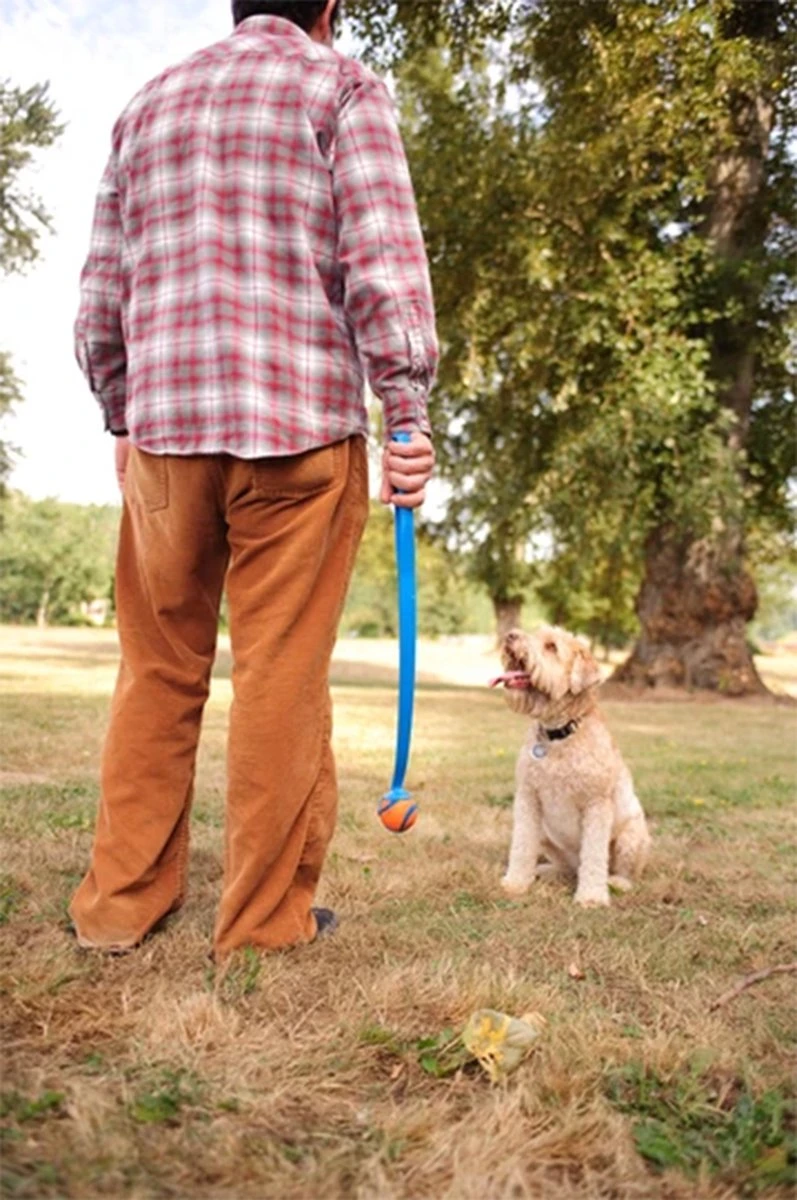 Chuckit! Ultra Ball M – Honden Speelgoed – Hondenbal– Drijft Op Water – Stuitert – Veilig Voor Gebit – Honden Bal – Ideaal Met De Ballenwerper – Ø 6cm – Oranje/Blauw – Hondenspeeltjes– 4-Pack - Afbeelding 5