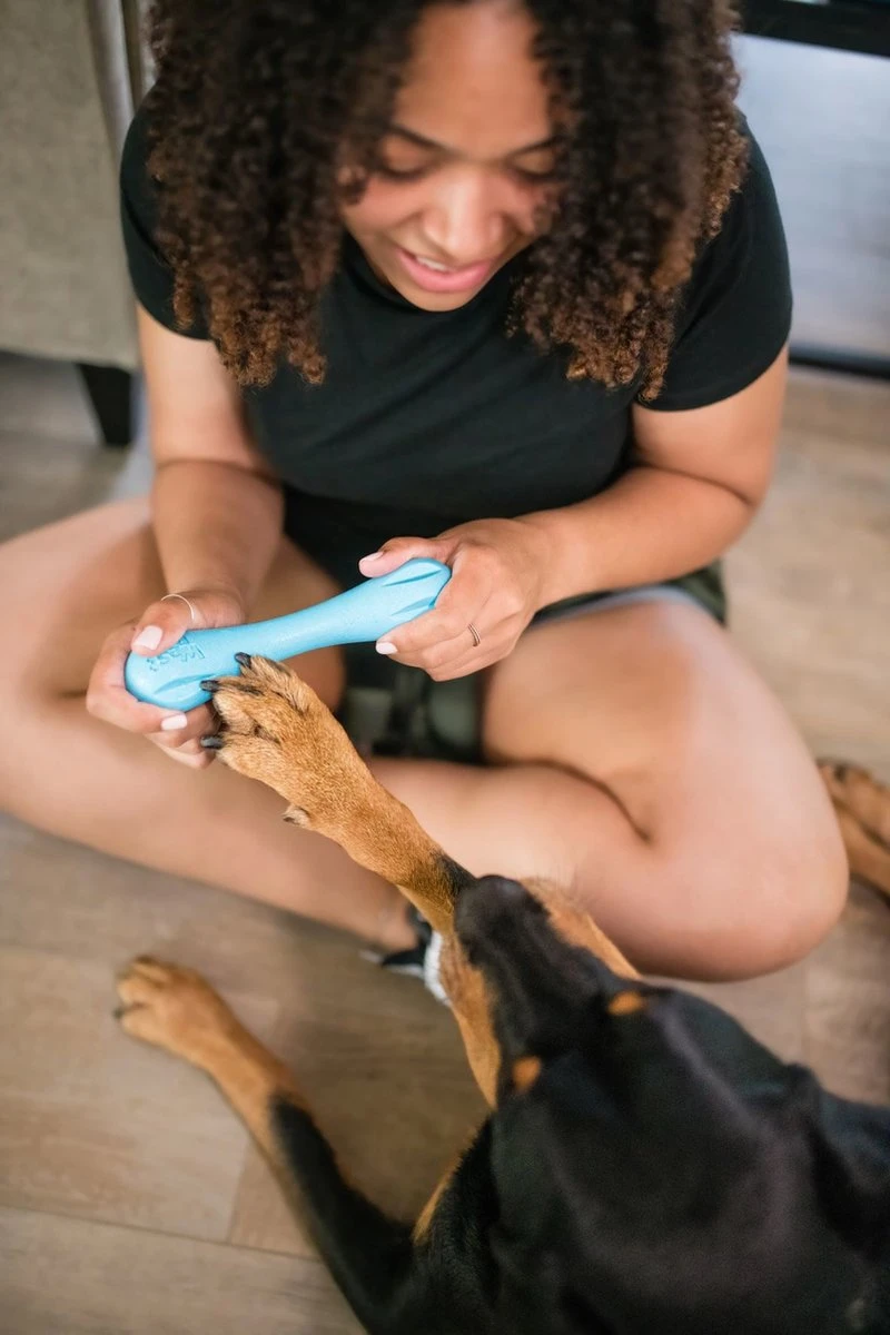 West Paw Zogoflex Hurley - Super Sterk Kauwbot Voor Honden - Kleur: Blauw, Maat: Large - Afbeelding 5