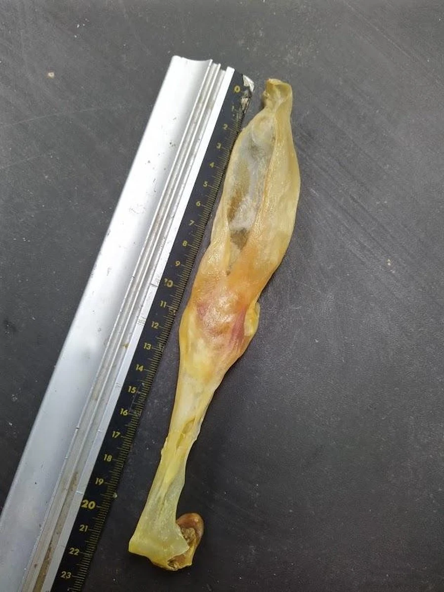 Konijn Oor Konijnoren 1kg Van De Snackmeester 100% Natuurlijk Natural Naturel - Afbeelding 4