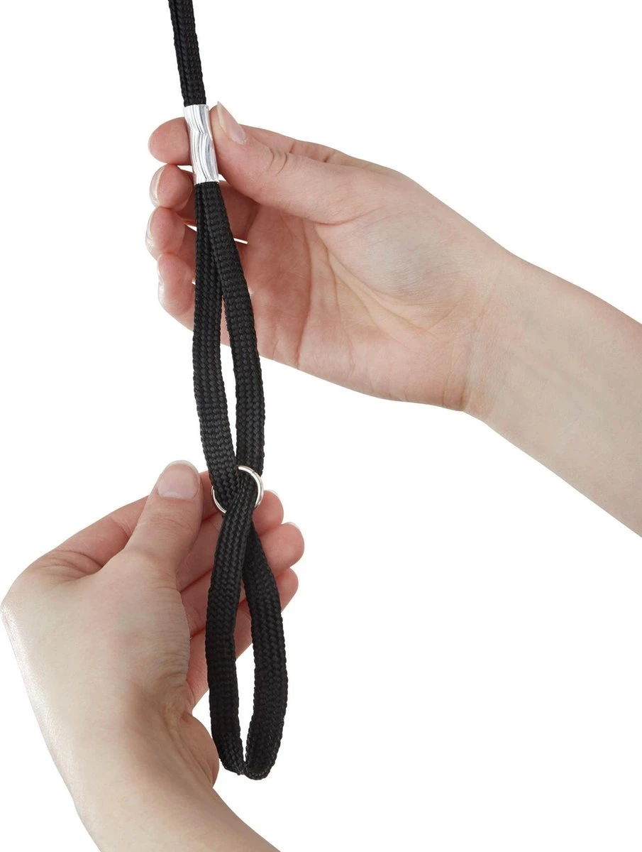 Tectake - Honden Trimtafel Met Twee Lussen - Zwart/zilver- 402893 - Afbeelding 3