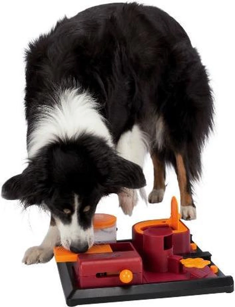 Trixie Dog Activity Poker Box 2 31x31 Cm - Afbeelding 9